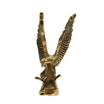 BRASS EAGLE