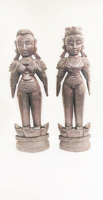 MARAPACHI DOLLS