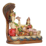 Vishnu Laxmi on Sheshanag