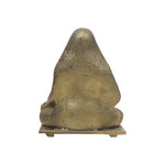 Brass Guru Raghavendra Swamy