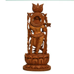 Krishna ragaarts.myshopify.com