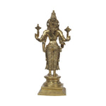Brass Narayana Idol