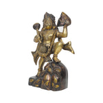 Brass Sanjeevani Hanuman