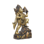 Brass Sanjeevani Hanuman