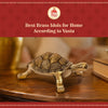 Best Brass Idols for Home According to Vastu