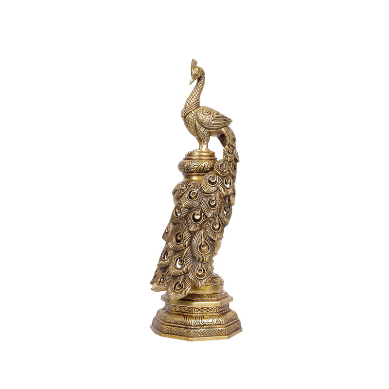Brass Peacock  Standing
