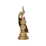 Brass Peacock  Standing