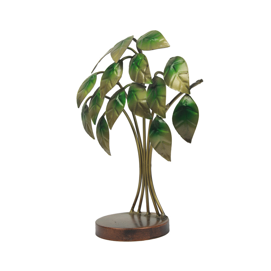 AO  IRON TREE SMALL