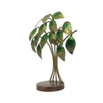 AO  IRON TREE SMALL
