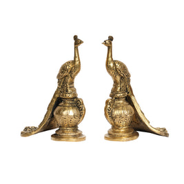 Brass Peacock Pair on Kalash