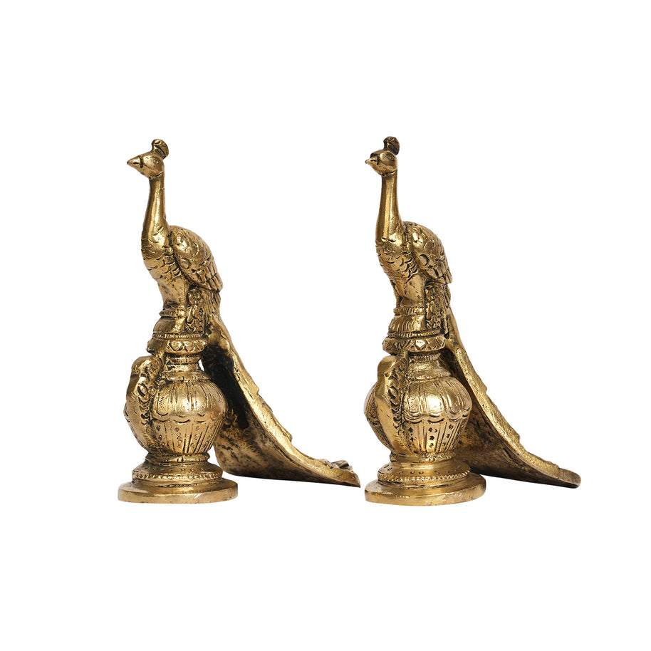 Brass Peacock Pair on Kalash