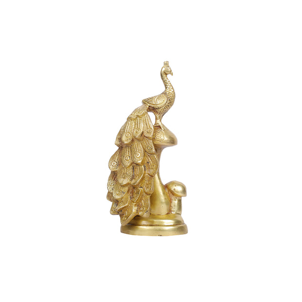 Brass Peacock standing