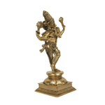 BRASS 14 IN VISHNU KRISHNA