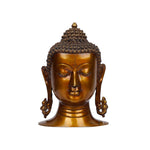 Brass Buddha Head Col