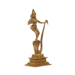 BRONZE KALINA KRISHNA