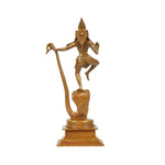 BRONZE KALINA KRISHNA