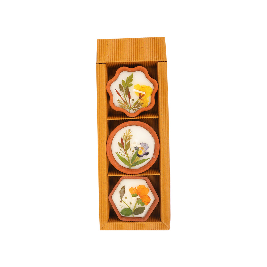 Fragrance DIYA SET OF 3( ROSE)