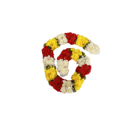 Ao Marigold hara