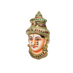 Tp Lakshmi Face