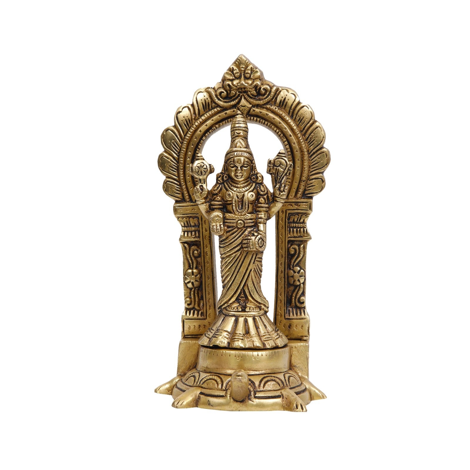 Brass Balaji On Tortoise