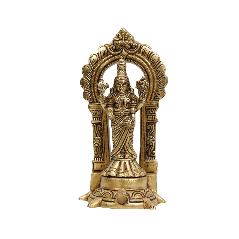 Brass Balaji On Tortoise