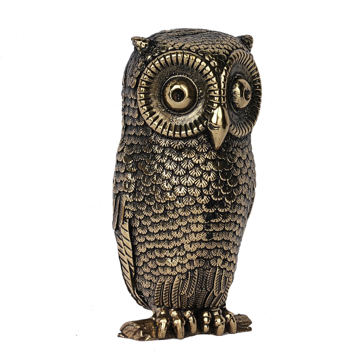 Brass Owl – 4