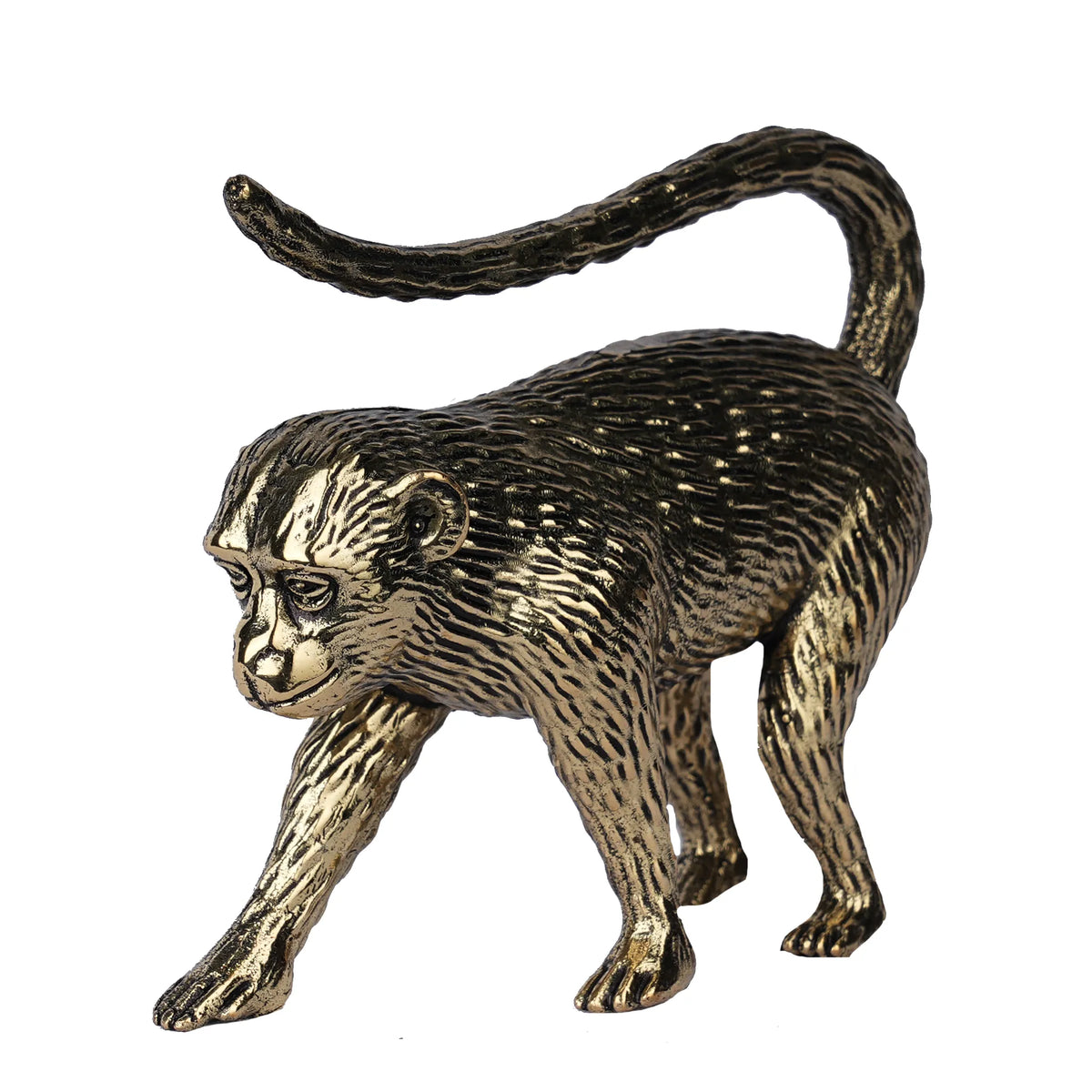 Brass Monkey  – 2.5