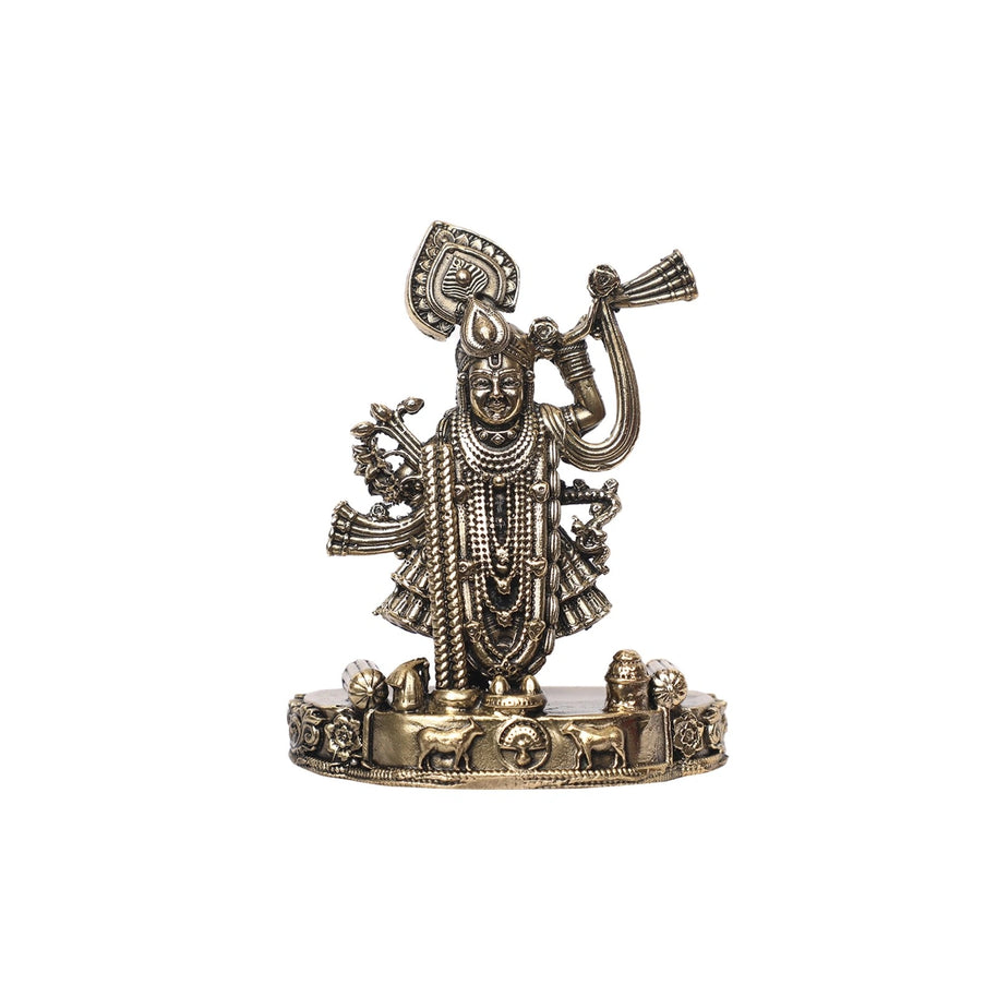 Brass Shreenath Ji Idol