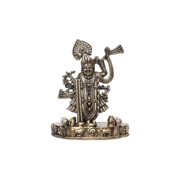 Brass Shreenath Ji Idol