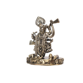Brass Shreenath Ji Idol