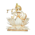 Krishna sitting on lotus