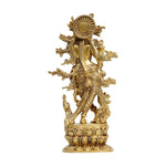 Brass Antique Krishna