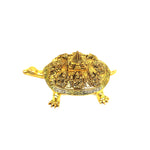Brass Tortoise