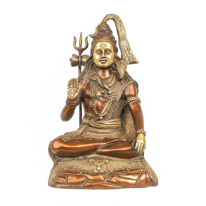 Brass Shiv-Ji