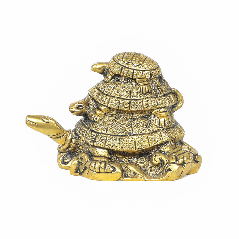 Brass Tortoise Family