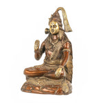 Brass Shiv-Ji