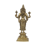 Brass Narayana Idol