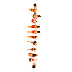 Yoga Surya Namaskar Set