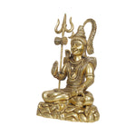 Brass Shiva Idol