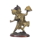 Brass Sanjeevani Hanuman