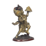 Brass Sanjeevani Hanuman