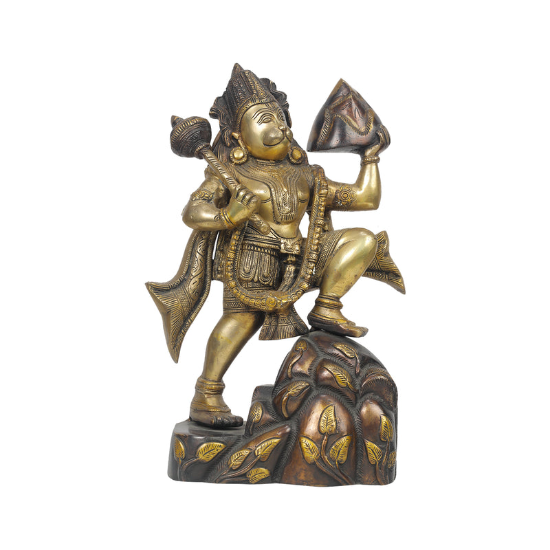 Brass Sanjeevani Hanuman