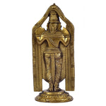 Balaji ragaarts.myshopify.com
