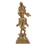 Krishna ragaarts.myshopify.com