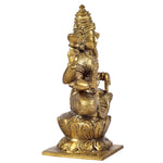 Lakshmi ragaarts.myshopify.com