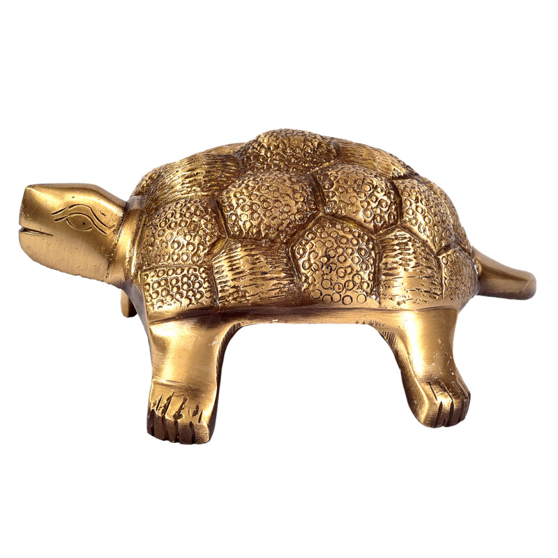 Tortoise ragaarts.myshopify.com