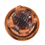 Ashoka Pillar ragaarts.myshopify.com