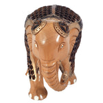 Jali Elephant ragaarts.myshopify.com