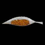 Brass Patta neem sp w box ragaarts.myshopify.com