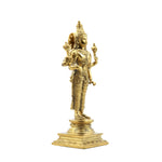 Standing Narayana